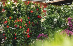 Gartencenter Willmering