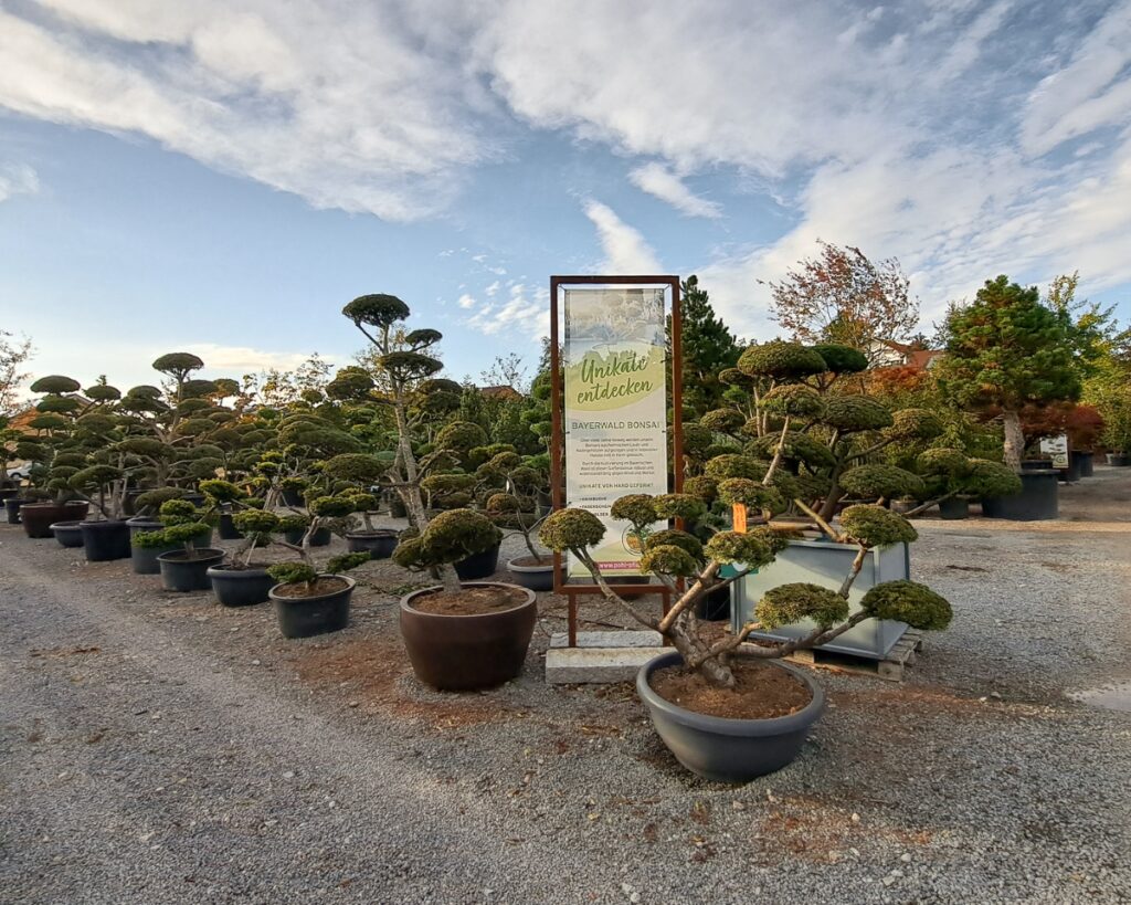 Gartencenter Willmering Gartencenter Willmering