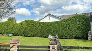 Gartenbau Wurster Nordseeküste